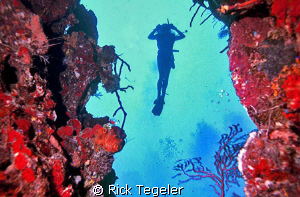 
Framed! by Rick Tegeler 